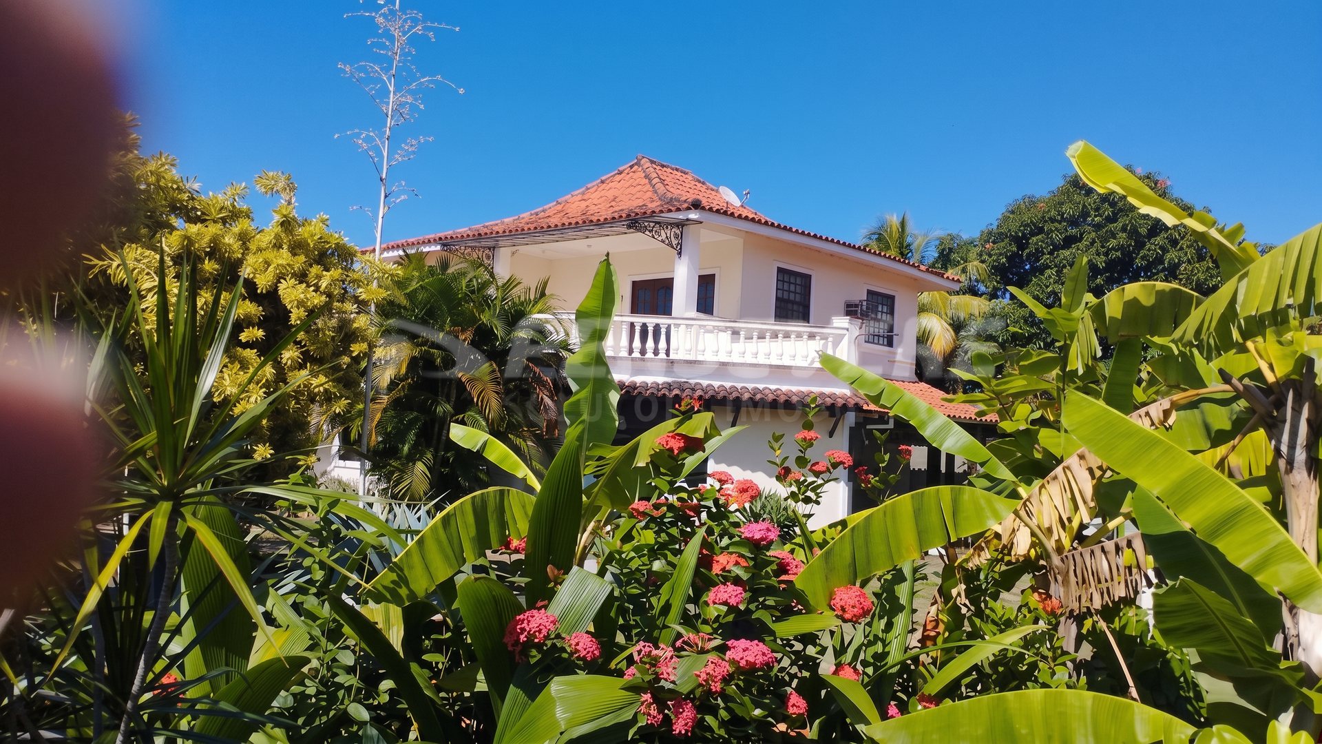 Casa de rua : Duplex / Residencial / Piratininga